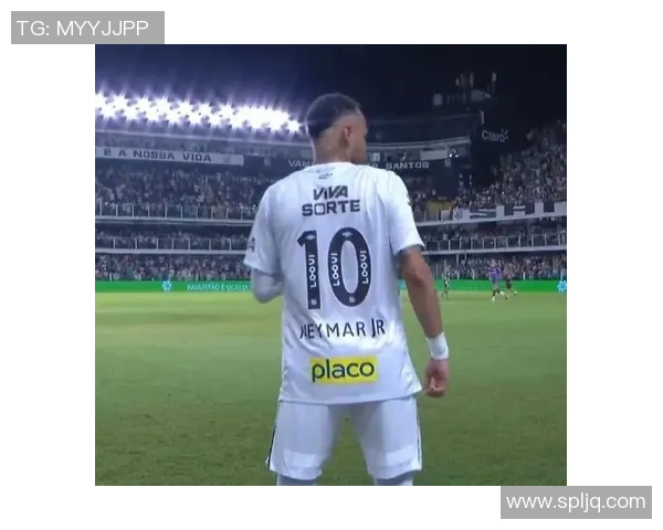 博塔弗戈主场迎战桑托斯两队状态分析与胜负预测